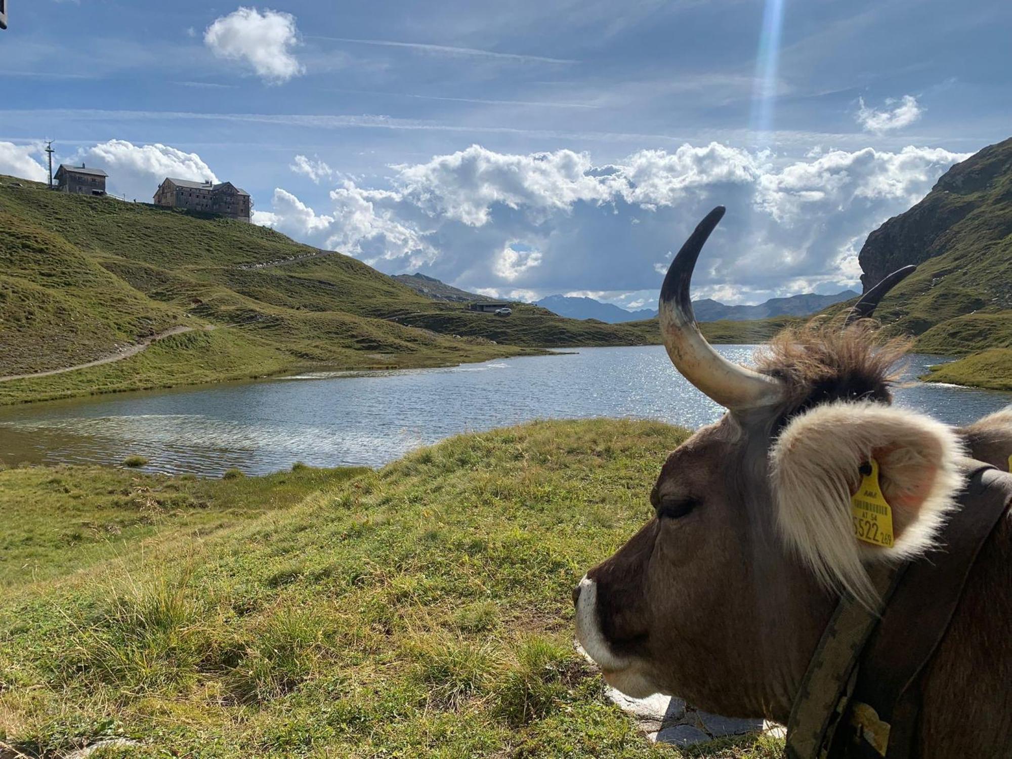 Haus Richard Falch - Inklusive Kostenloser Premium-Sommerkarte St. Anton am Arlberg Zewnętrze zdjęcie